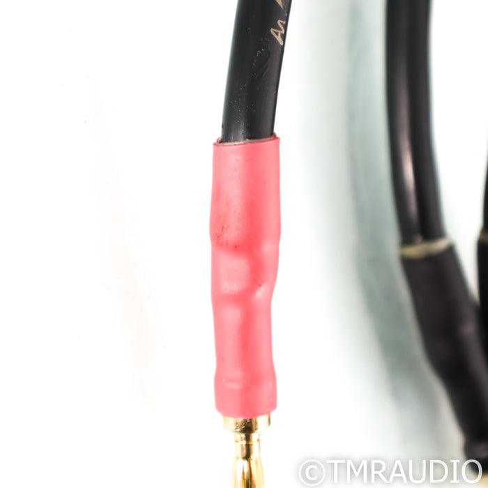 Audio Note Lexus LX96 Speaker Cables; 3m Pair