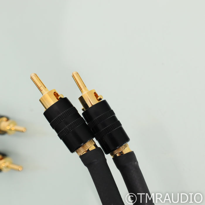 Transparent Audio Ultra G6 Speaker Cables; 15ft Pair