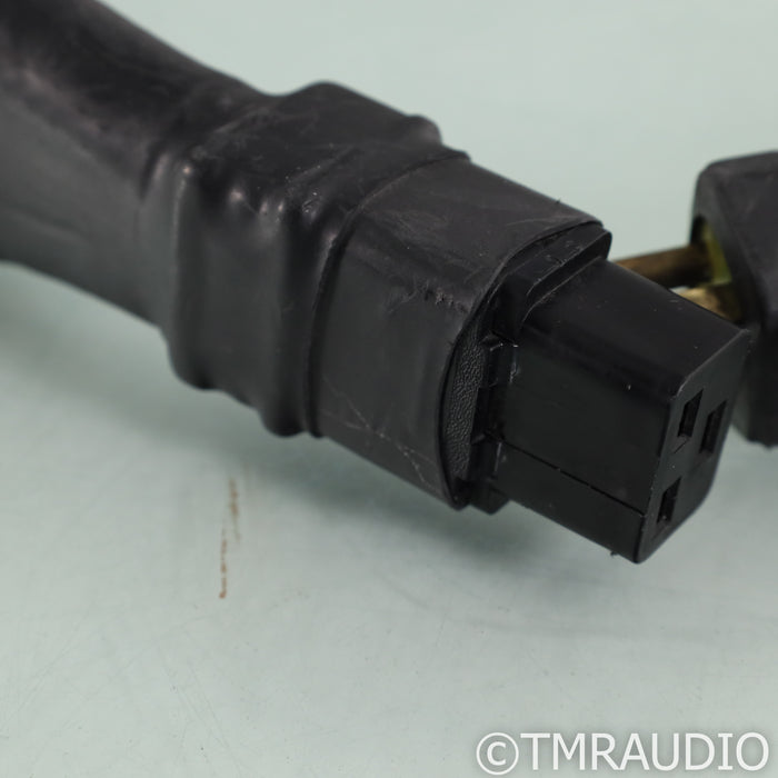 Electra Glide Reference Fatboy Power Cable; 9ft AC Cord; C19 20A