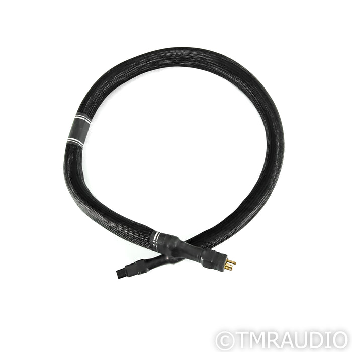 Electra Glide Reference Fatboy Power Cable; 9ft AC Cord; C19 20A