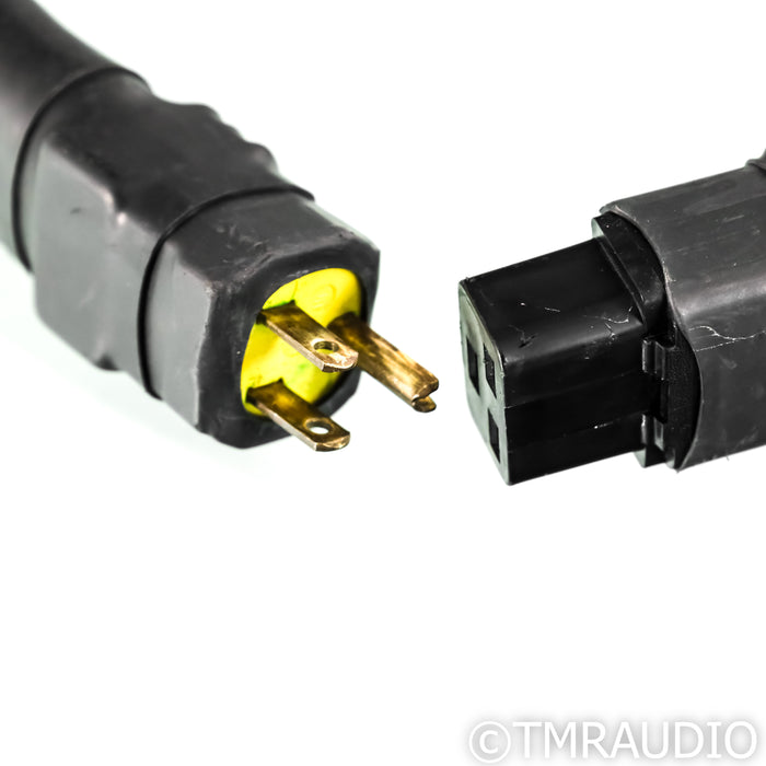 Electra Glide Reference Fatboy Power Cable; 9ft AC Cord; C19 20A