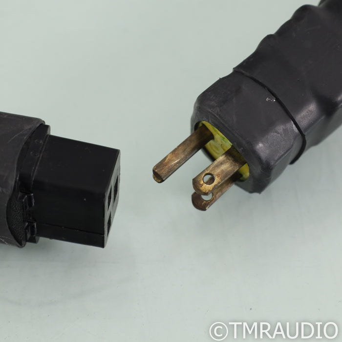 Electra Glide Reference Fatboy Power Cable; 9ft AC Cord; C19 20A