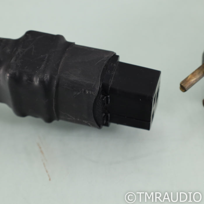 Electra Glide Reference Fatboy Power Cable; 9ft AC Cord; C19 20A