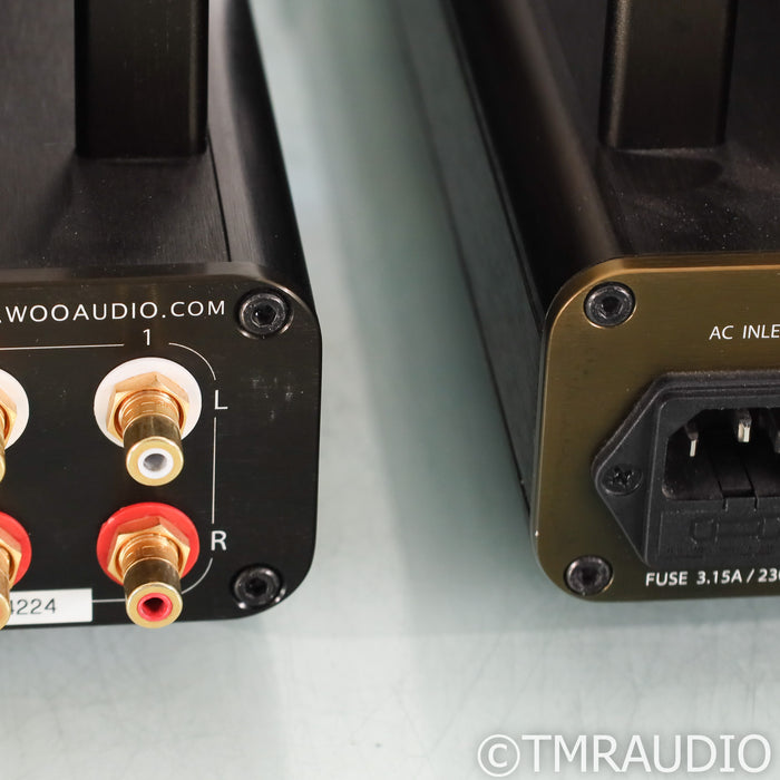 Woo Audio WA5 Tube Headphone Amplifier