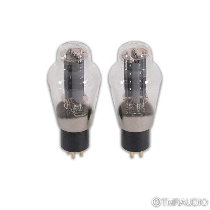 Takatsuki TA-300B Tubes; Pair (Low Hours)
