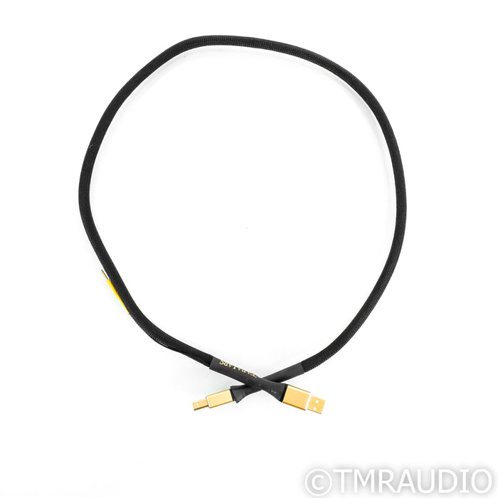 Tara Labs Master USB Cable; 1m Digital Interconnect w/ EVO Grounding Station
