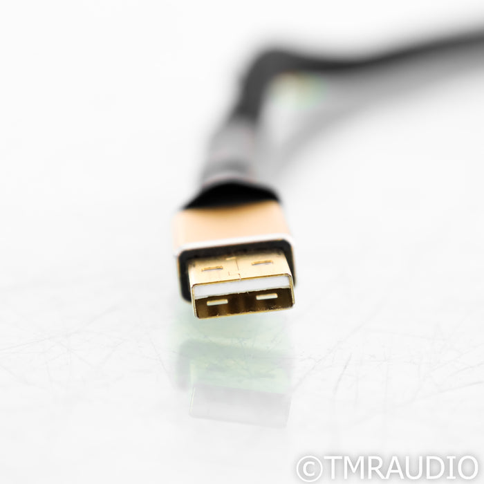 Tara Labs Master USB Cable; 1m Digital Interconnect w/ EVO Grounding Station