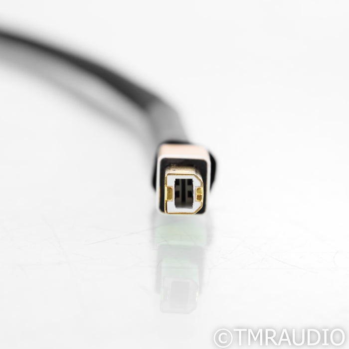 Tara Labs Master USB Cable; 1m Digital Interconnect w/ EVO Grounding Station