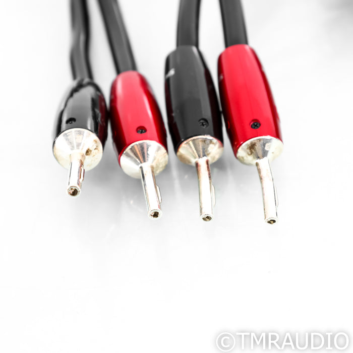 AudioQuest Rocket 88 Speaker Cables; 12ft Pair; 72v DBS