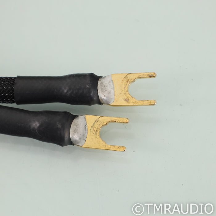 Transparent Audio Super Gen 5 Speaker Cables; 8ft Pair
