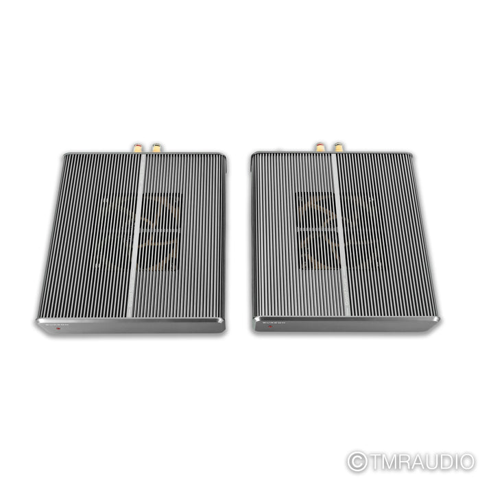 Burson Audio Timekeeper 3X GT Monoblock Power Amplifiers; Pair; 3XGT