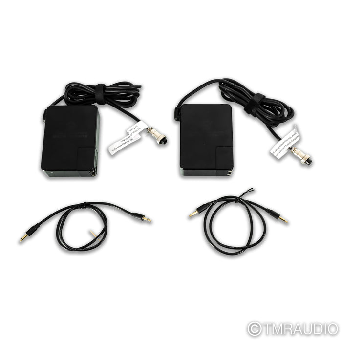 Burson Audio Timekeeper 3X GT Monoblock Power Amplifiers; Pair; 3XGT