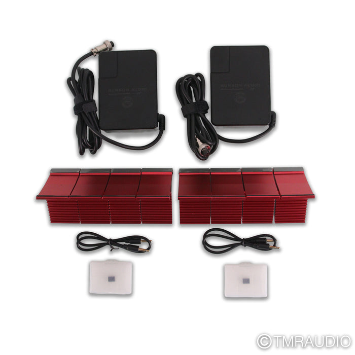 Burson Audio Timekeeper 3X GT Monoblock Power Amplifiers; Pair