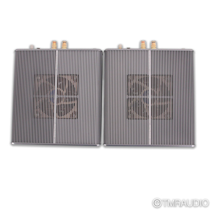 Burson Audio Timekeeper 3X GT Monoblock Power Amplifiers; Pair
