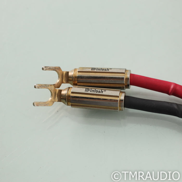 McIntosh CS2M Speaker Cables; 2m Pair