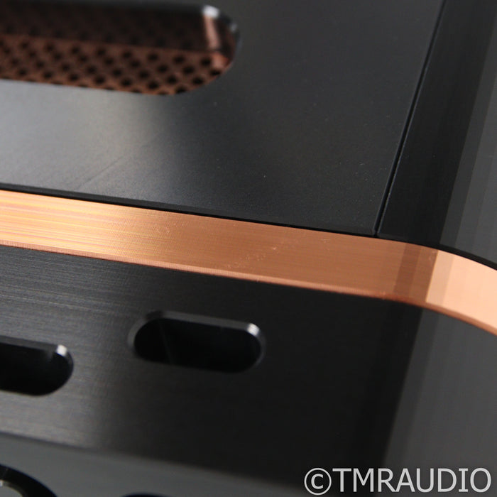 Dan D'Agostino Momentum MxV Stereo Integrated Amplifier; DAC Upgrade