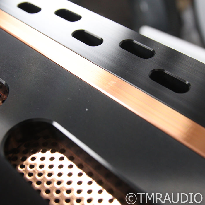 Dan D'Agostino Momentum MxV Stereo Integrated Amplifier; DAC Upgrade