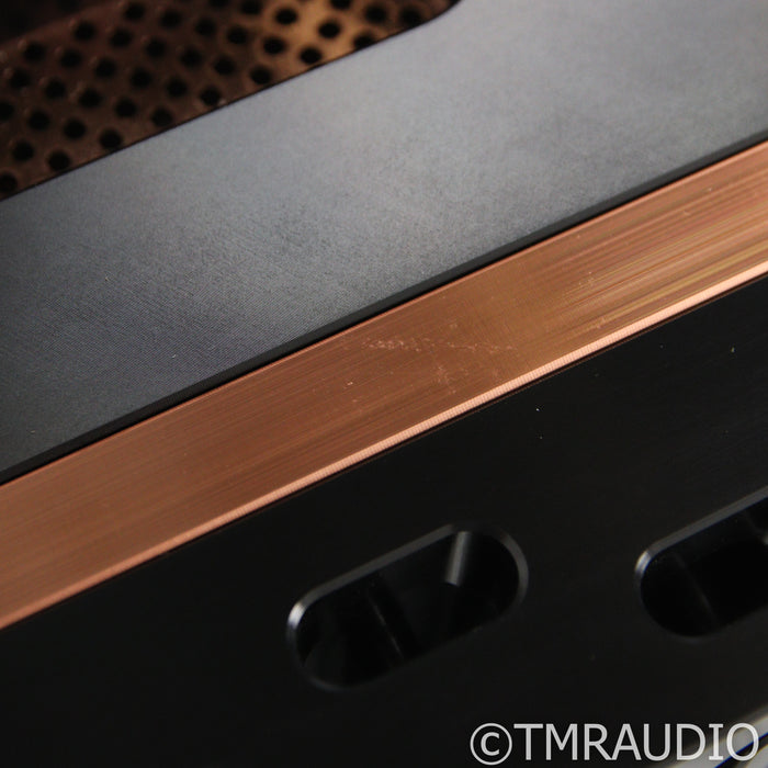Dan D'Agostino Momentum MxV Stereo Integrated Amplifier; DAC Upgrade