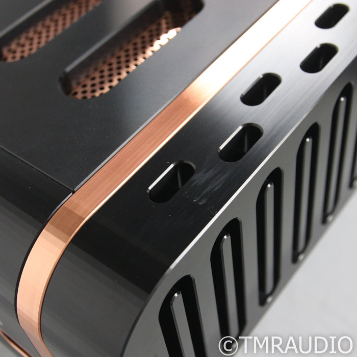 Dan D'Agostino Momentum MxV Stereo Integrated Amplifier; DAC Upgrade