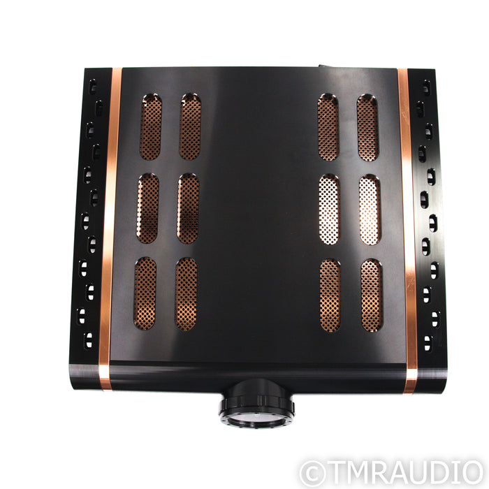 Dan D'Agostino Momentum MxV Stereo Integrated Amplifier; DAC Upgrade