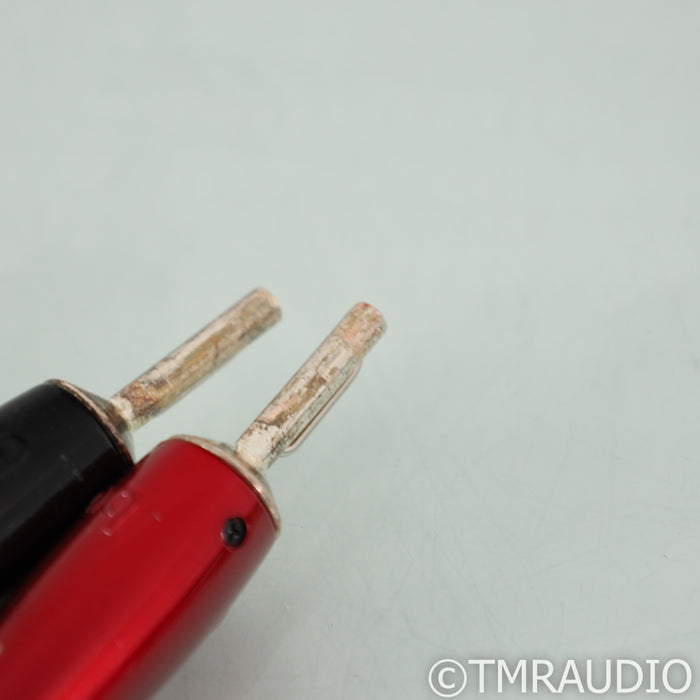 AudioQuest CV-4 Speaker Cables; 6ft Pair