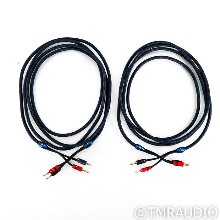 AudioQuest Type 4 Speaker Cables; 12ft Pair