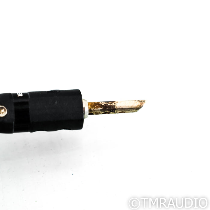 AudioQuest Type 4 Speaker Cables; 12ft Pair