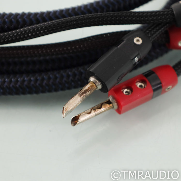 AudioQuest Type 4 Speaker Cables; 12ft Pair