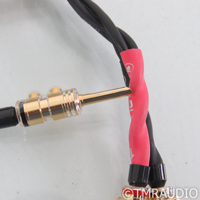 ViaBlue SC-4 Speaker Cables; 2.5m Pair