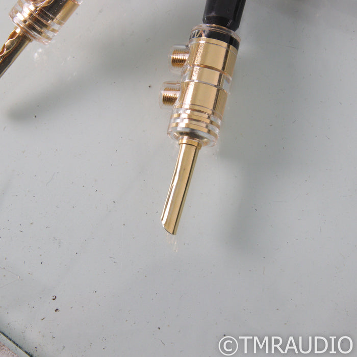 ViaBlue SC-4 Speaker Cables; 2.5m Pair