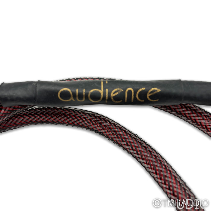 Audience Au24 SE powerChord Power Cable; 5ft AC Cord