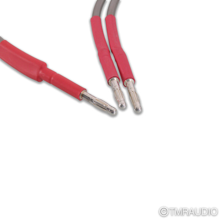 Audio Note AN-SPa Bi-Wire Speaker Cables; 3m Pair