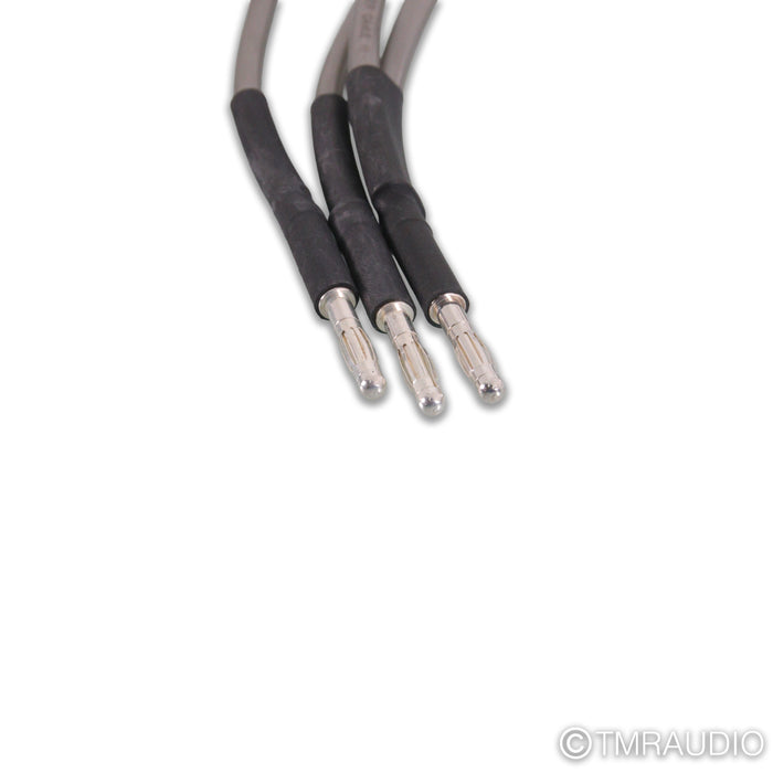 Audio Note AN-SPa Bi-Wire Speaker Cables; 3m Pair
