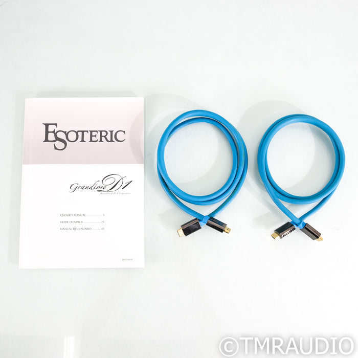Esoteric Audio Grandioso D1 Monoblock DAC; D/A Converter; Pair