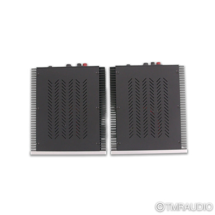 Van Alstine DVA M225 Monoblock Power Amplifiers; Pair
