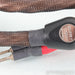 WireWorld Eclipse 7 Speaker Cables; 8ft Pair