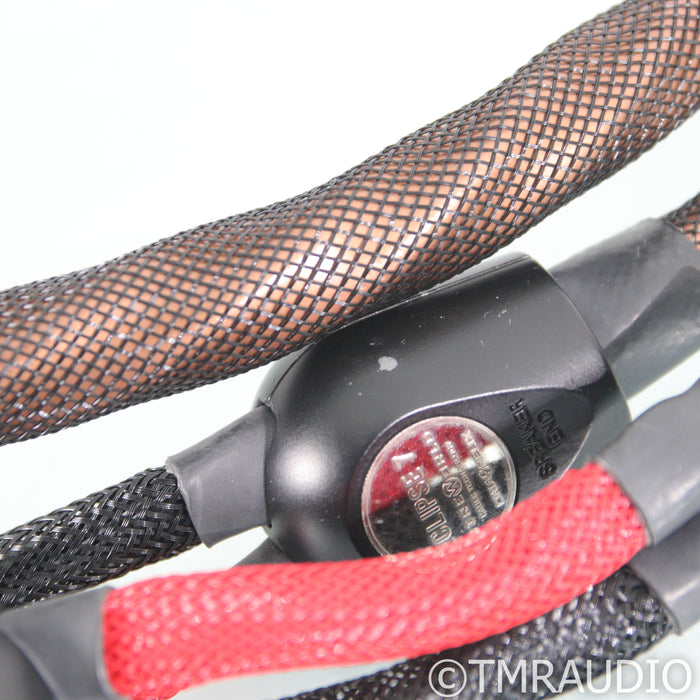 WireWorld Eclipse 7 Speaker Cables; 8ft Pair