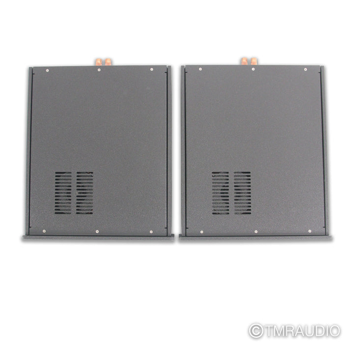 Atma-Sphere Class D Monoblock Power Amplifiers; Pair