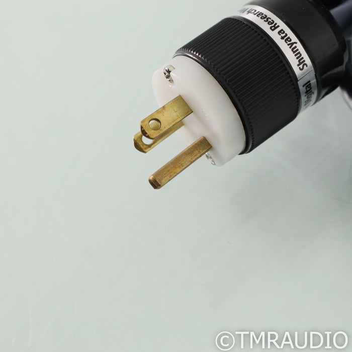 Shunyata Research Venom Zitron Digital Power Cable; 1.75m AC Cord; C19 20A