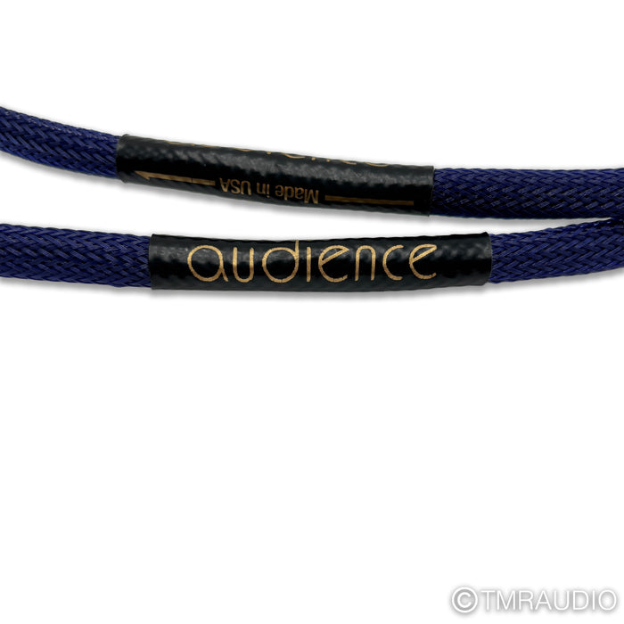 Audience Hidden Treasure Ethernet Cable; 1m Single Digital Interconnect