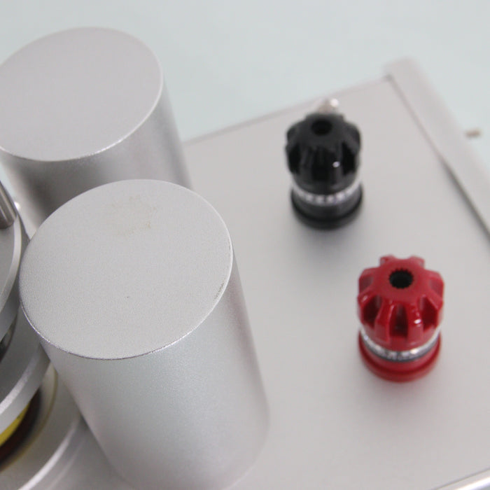 AGD Productions Inc. The Audion MkIII Monoblock Power Amplifiers; Pair