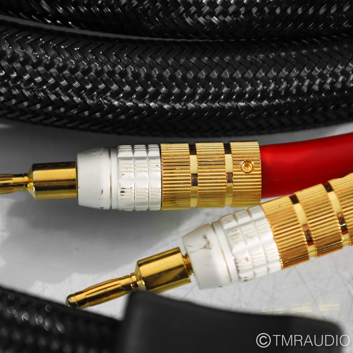 PS Audio Xstream Statement Speaker Cables; 21ft Pair