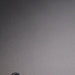 Aurender A1000 Network Streaming DAC; D/A Converter (Warranty)
