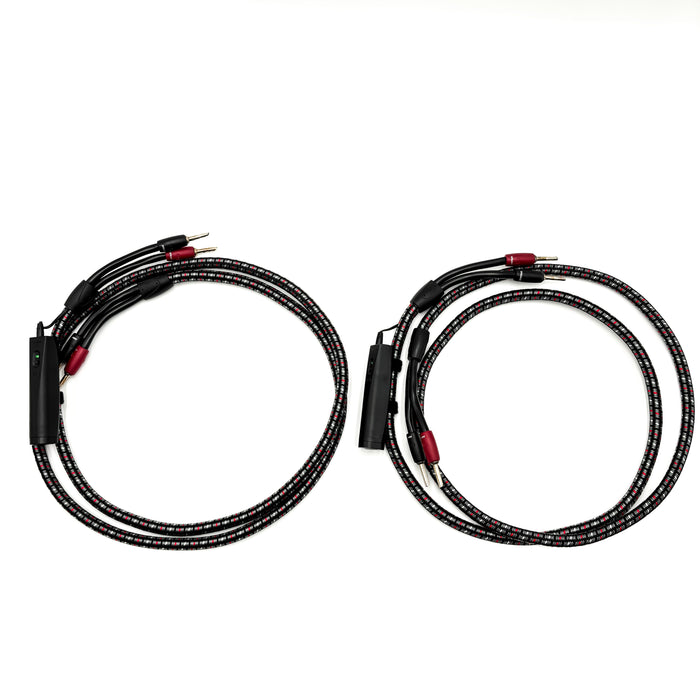 AudioQuest CV-8 Hyperlitz Speaker Cables; 6ft Pair