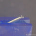 Ortofon 2M Blue MM Phono Cartridge; Moving Magnet