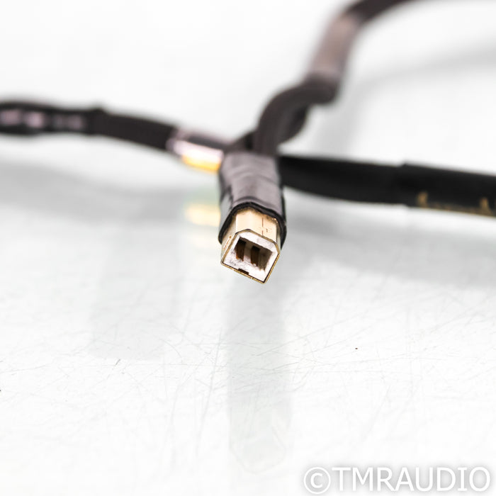 Audience frontRow Reserve USB A to B Cable; 0.75m Single Digital Interconnect