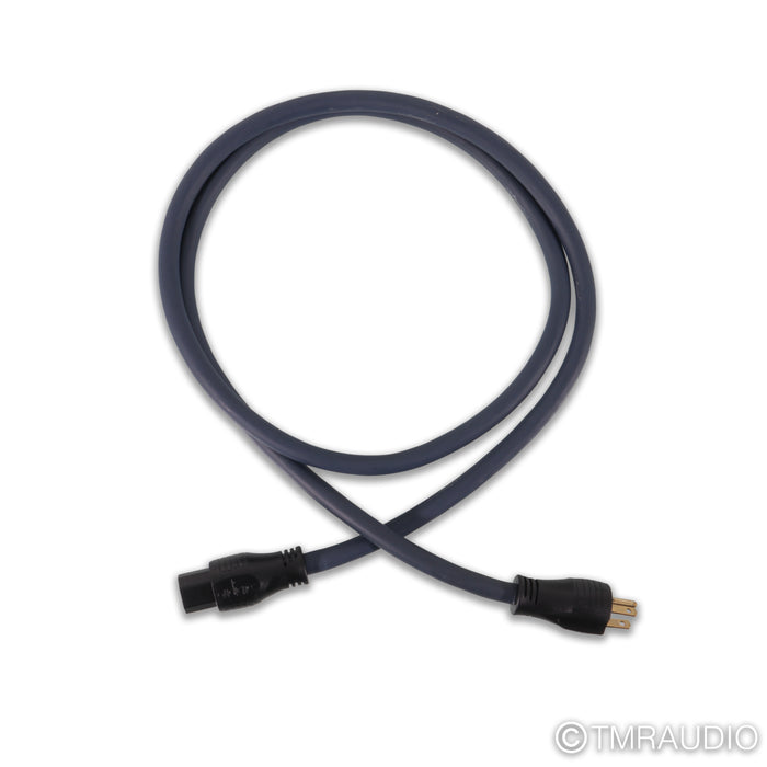 Audience forte V8 Power Conditioner