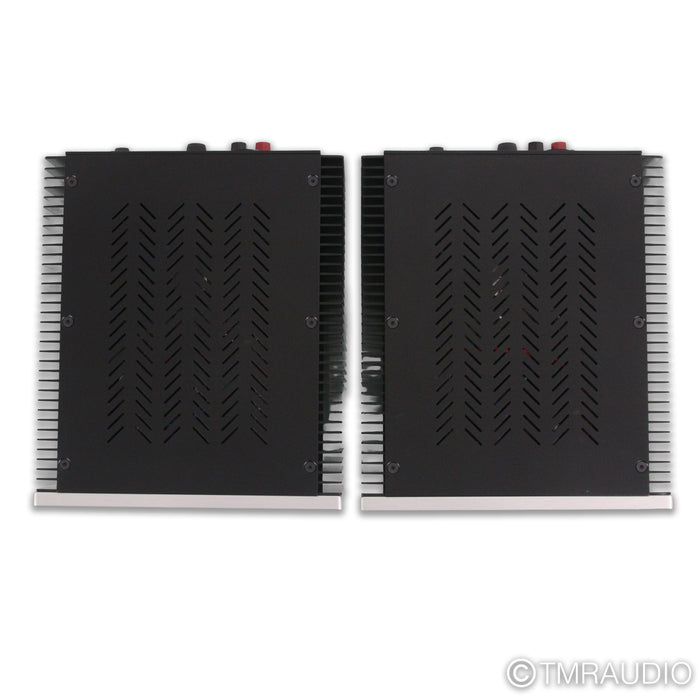 Van Alstine DVA M225 Monoblock Power Amplifiers; Pair