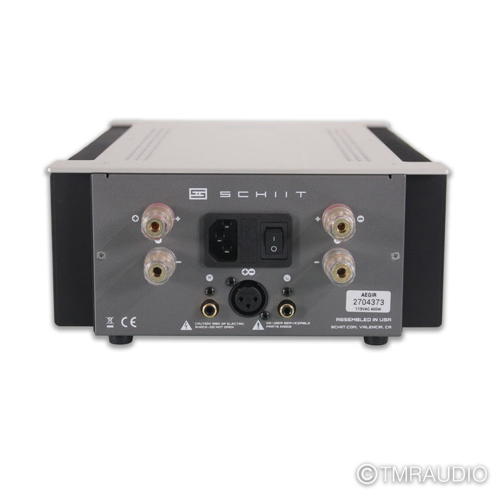 Schiit Audio Aegir Stereo Power Amplifier