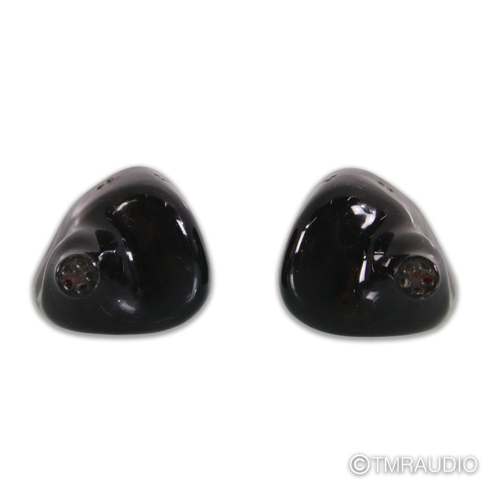 Empire Ears Raven In-Ear Headphones; IEMs; Moon Silver Dragon Cable
